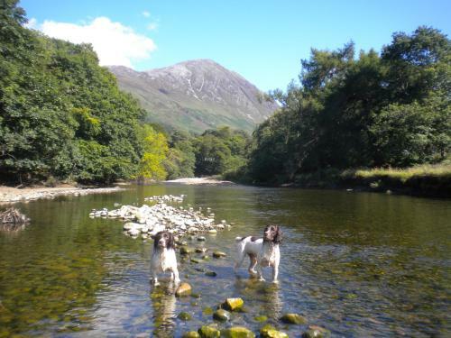 Glencoe Cabins And Caravans
