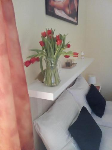 Hostal Villa Lidu?ka