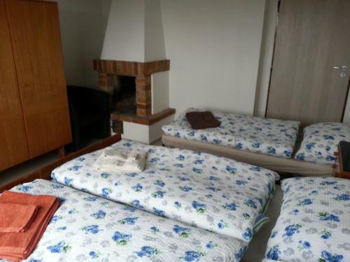 Apartment Ad�la