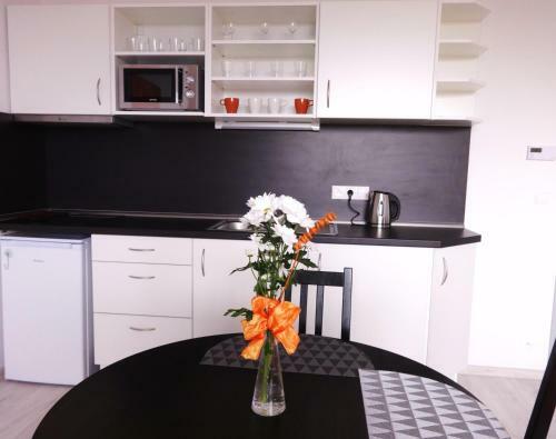Apartments 4U Center + Free Parking