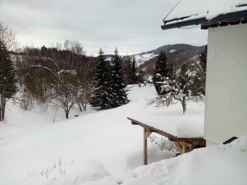 Apartamento Frantiskov 17