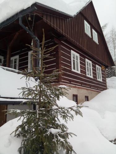 Apartamento Frantiskov 17