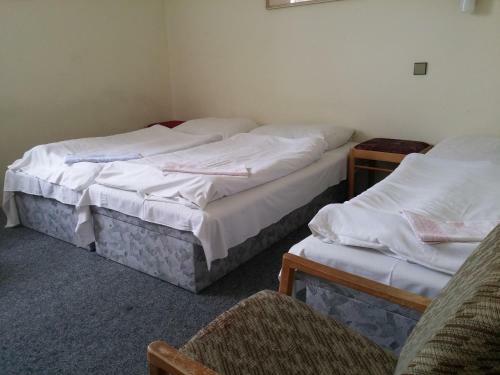 Hostal Penzion Lovochemie
