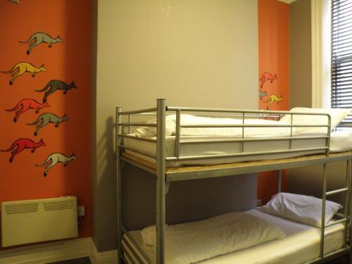 Albergue Albatross Backpackers In!