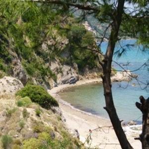 Apartamentos Celia Yria