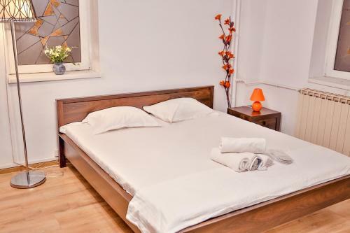 Mircea Voda Apartment