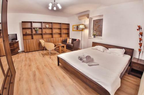 Mircea Voda Apartment