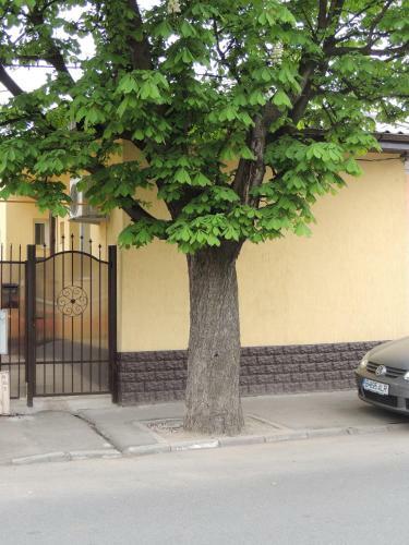 Hostal Vis A Vis Studio