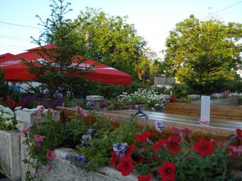 Hostal Vila Tom Cris