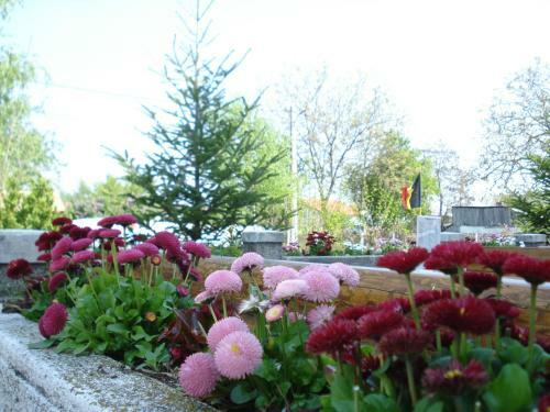 Hostal Vila Tom Cris
