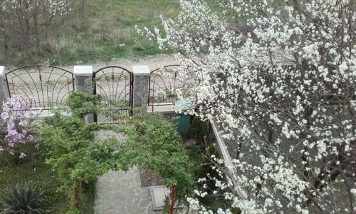 Hostal Lycorn
