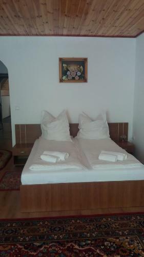 Hostal Popasul Vanatorilor