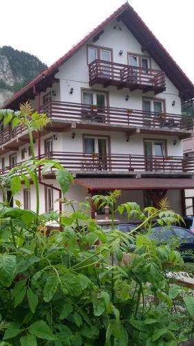 Hostal Pensiunea Malina