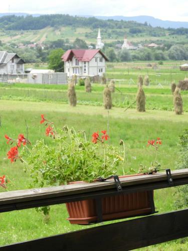 Hostal Popasul Ioana Oncesti