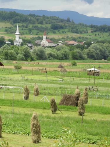 Hostal Popasul Ioana Oncesti