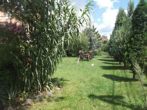 Hostal Pensiunea Raze De Soare