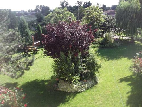Hostal Pensiunea Raze De Soare