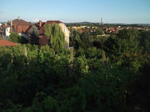 Hostal Pensiunea Raze De Soare