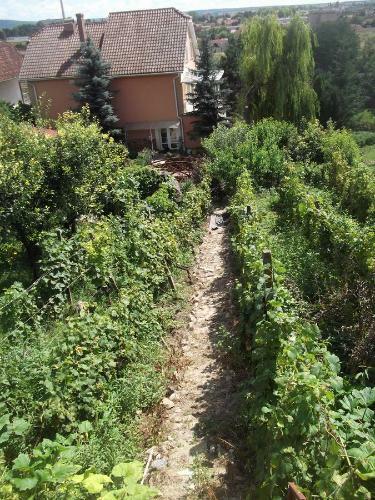 Hostal Pensiunea Raze De Soare