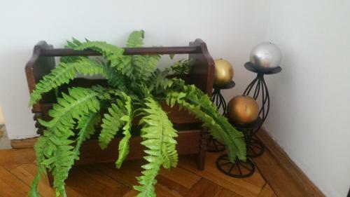 Apartamento Urban Residence
