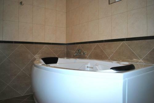 Albergue Harmonie Radauti