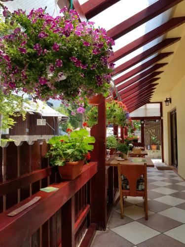 Hostal Casa De Vacanta Razvan Si Andrei