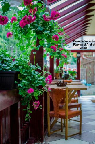 Hostal Casa De Vacanta Razvan Si Andrei