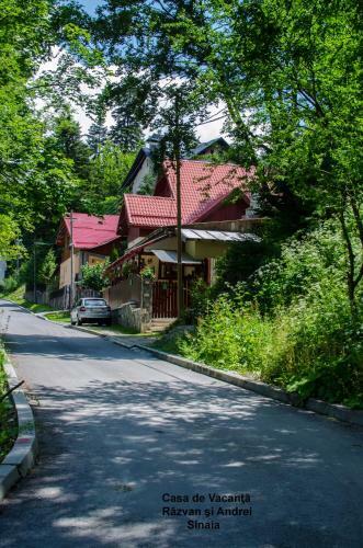 Hostal Casa De Vacanta Razvan Si Andrei
