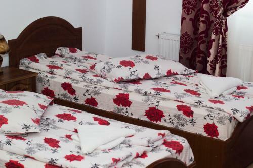 Hostal Pensiunea Daria