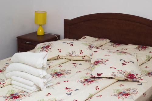 Hostal Pensiunea Daria