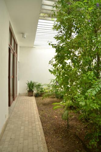 Hostal Sayura House