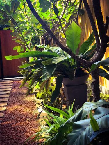 Hostal Sayura House
