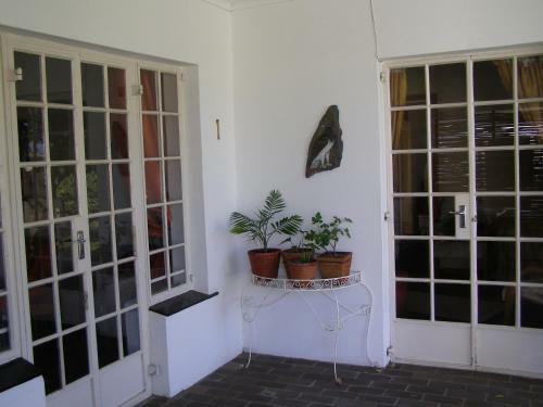 Hostal Falcon Crest Self Catering Cottages