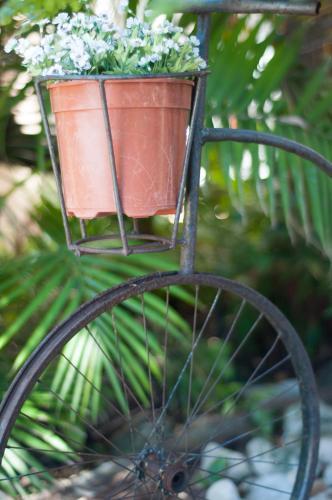 Bed & Breakfast Kaliza's Place