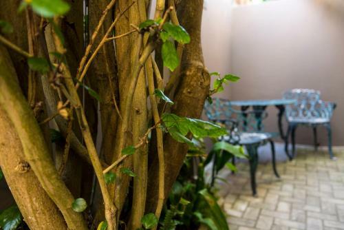 Bed & Breakfast Kingfisher Guesthouse