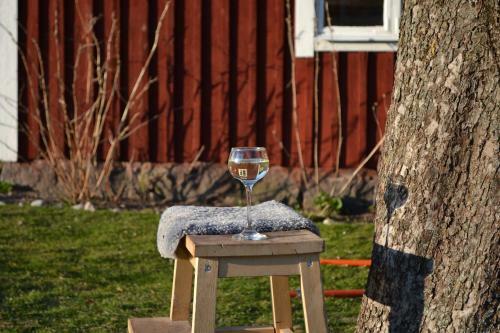 Lodge Uddebog�rd 2