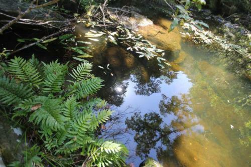 Lodge Moon Shine On Whiskey Creek