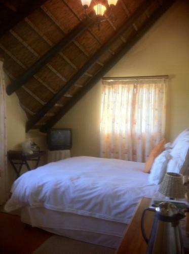 Brisan Bed & Breakfast