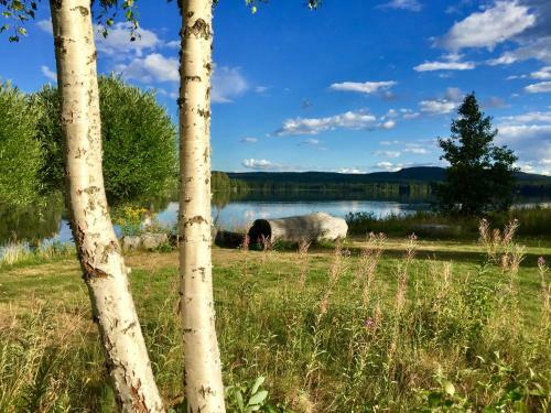 Bed & Breakfast The Lodge - Torsby