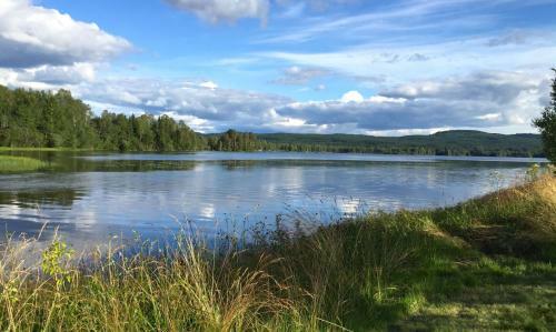 Bed & Breakfast The Lodge - Torsby