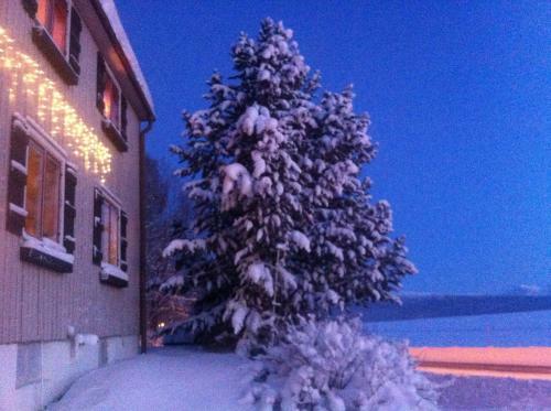 T�rnaby Rooms & Apartments