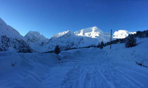 Le Chamois