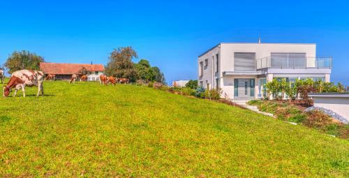 Belair Beinwil - B&B