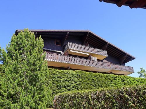Apartment Les Bruy�res A24