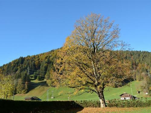 Apartment Oberland Nr. 7
