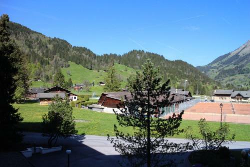 Hotel Eurotel Victoria Les Diablerets Superior