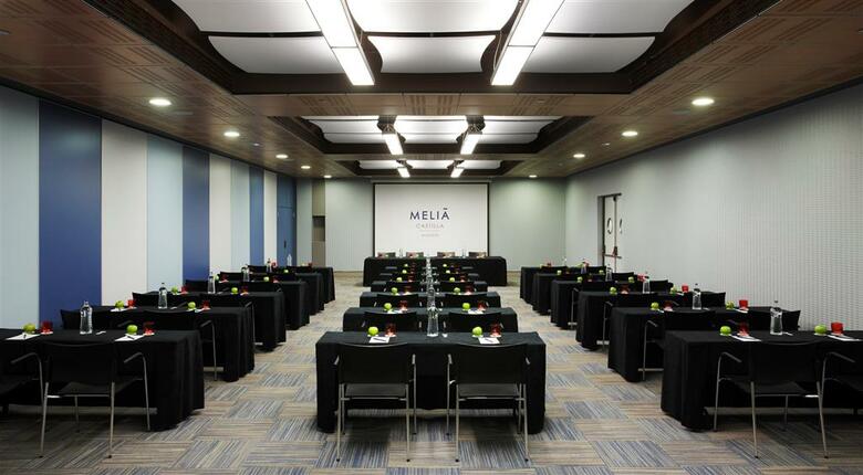 Hotel Meli� Castilla