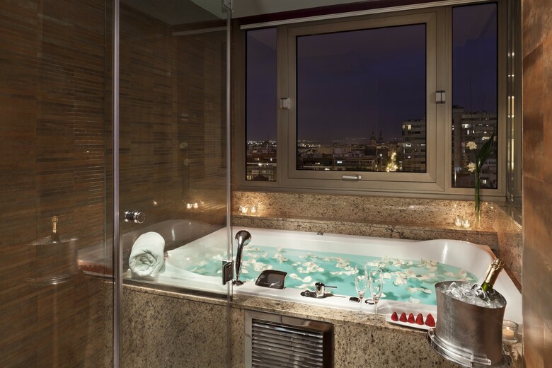 Hotel Meli� Madrid Princesa