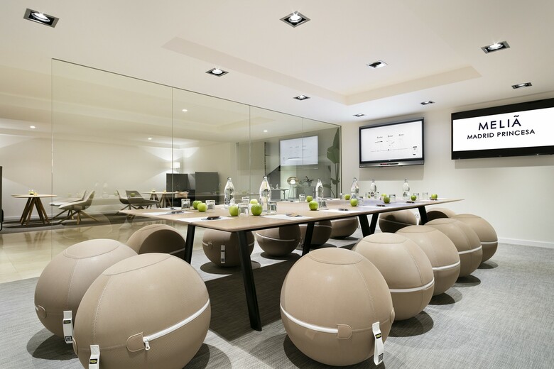 Hotel Meli� Madrid Princesa