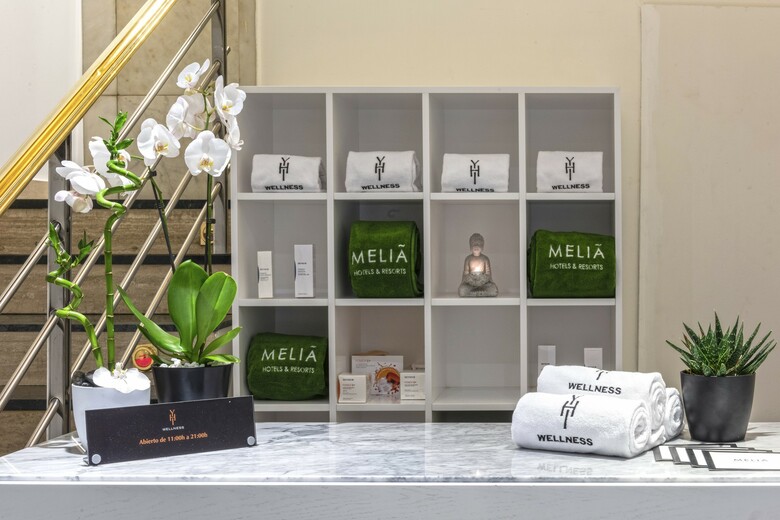 Hotel Meli� Madrid Princesa